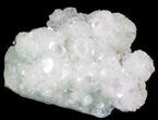 Apophyllite Crystals on Prehnite - India #39916-1
